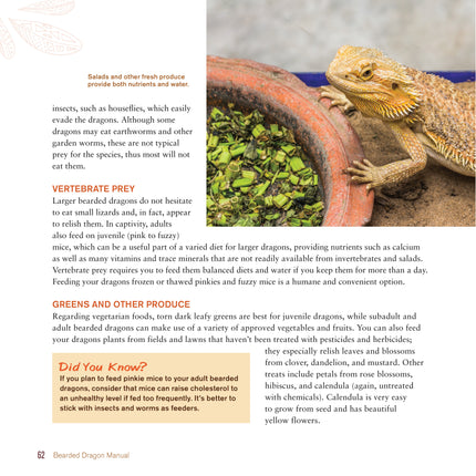 Bearded Dragon Manual, 3rd Edition