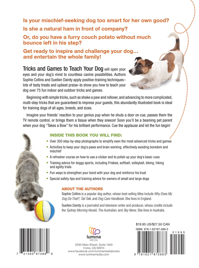 Tricks and Games to Teach Your Dog