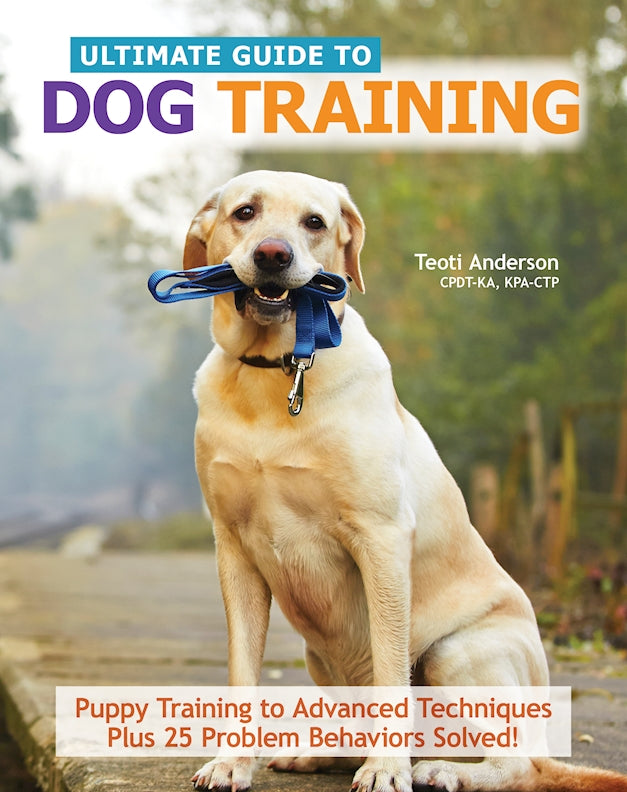 Ultimate Guide to Dog Training