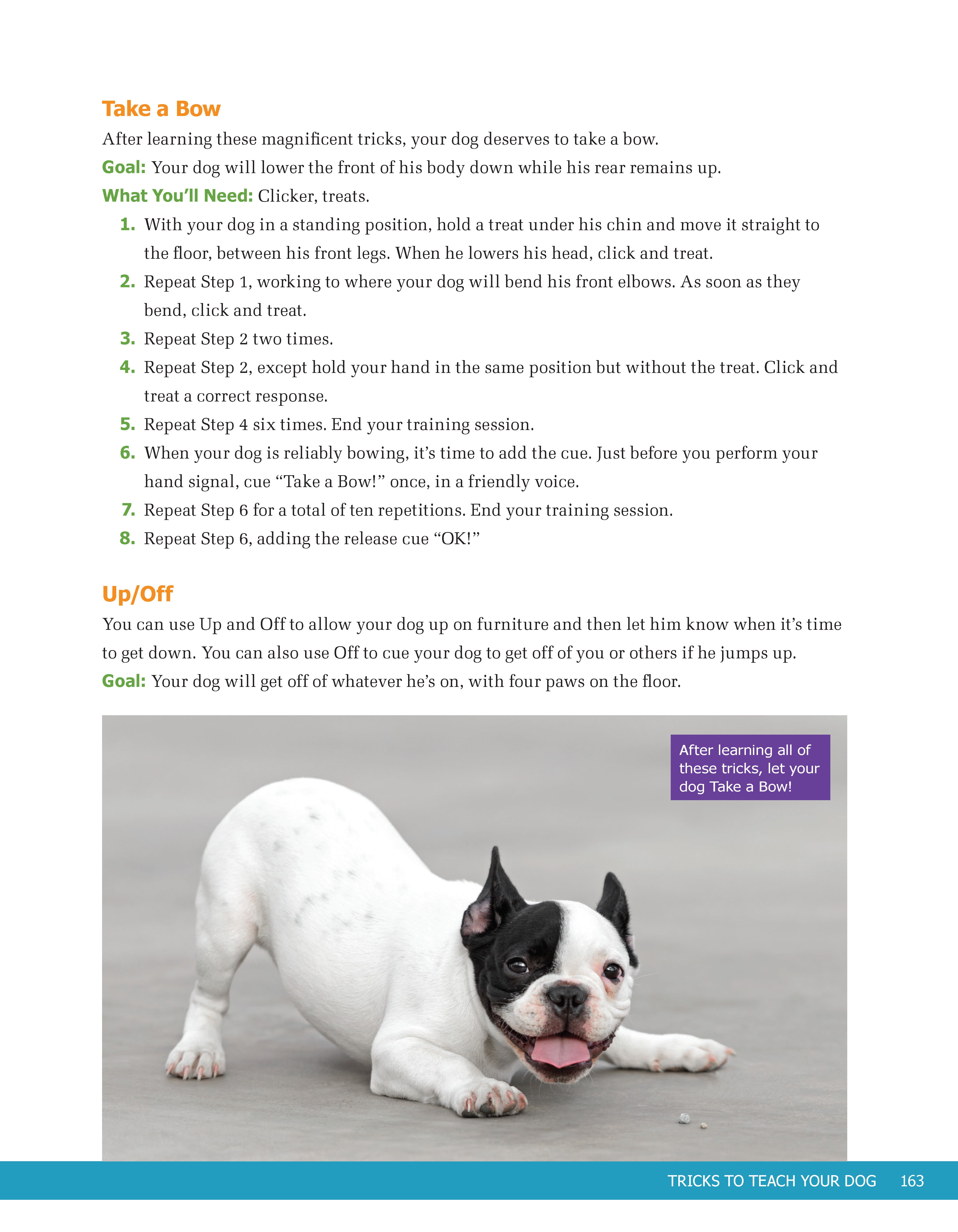 Ultimate Guide to Dog Training