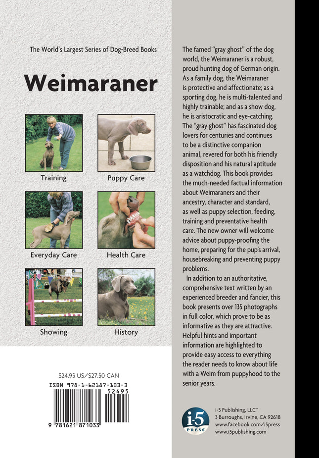 Weimaraner