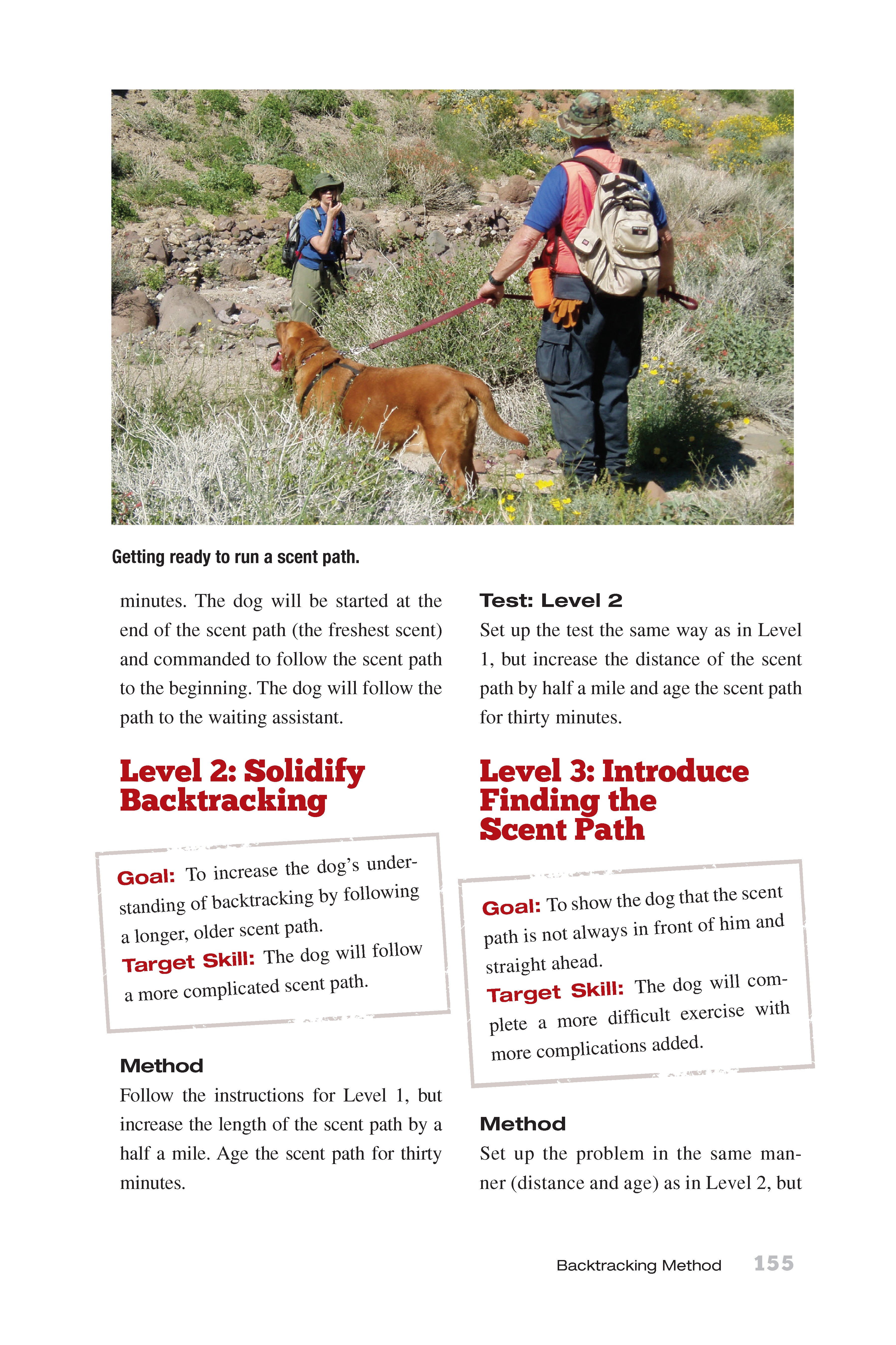 Ready! Training the Search and Rescue Dog