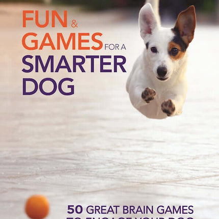 Fun & Games for a Smarter Dog