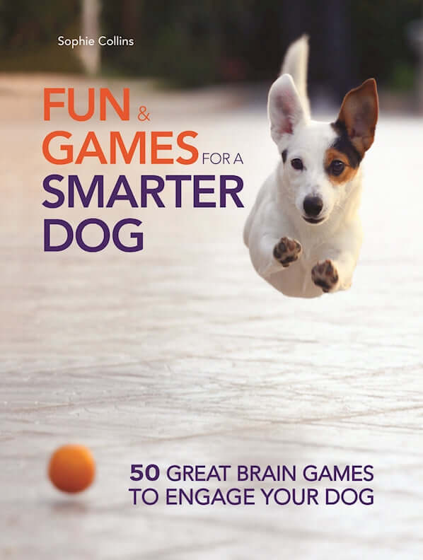 Fun & Games for a Smarter Dog