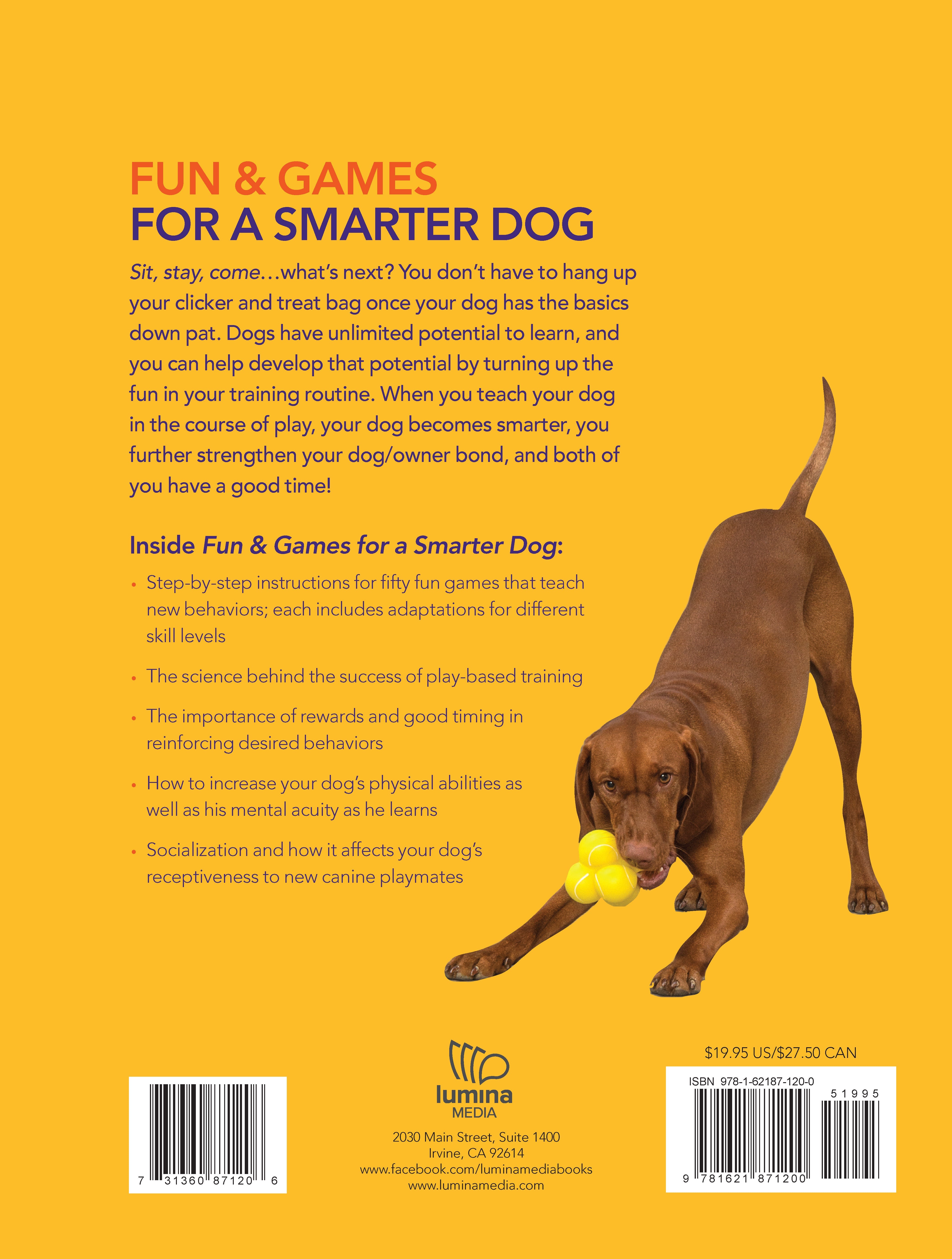 Fun & Games for a Smarter Dog