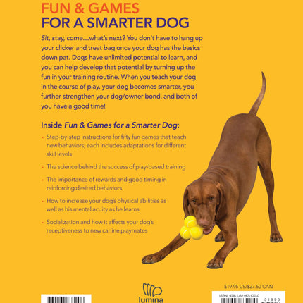 Fun & Games for a Smarter Dog