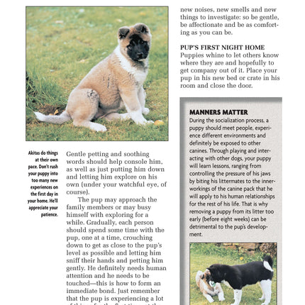 Akita (Comprehensive Owner's Guide)