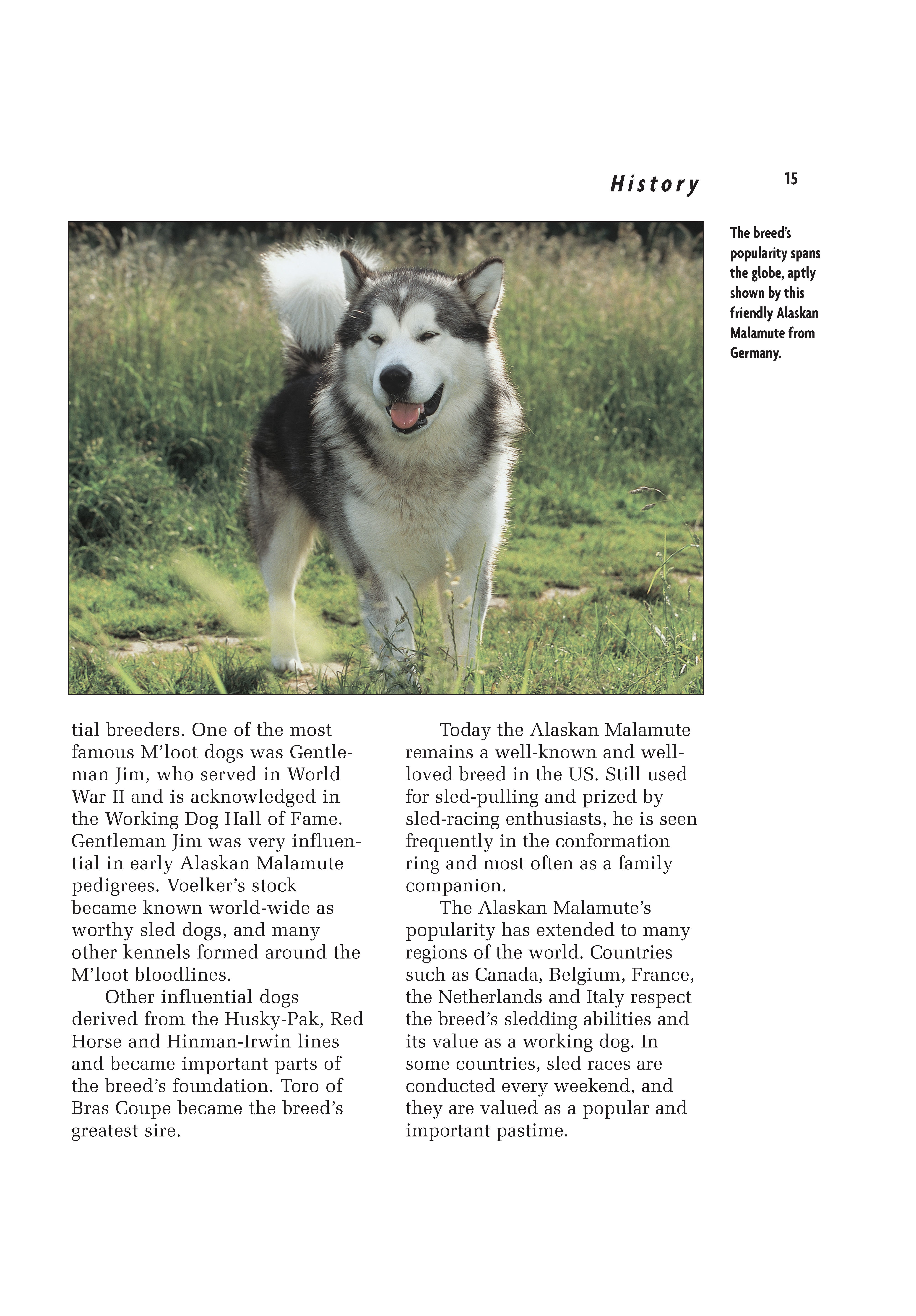 Alaskan Malamute (Comprehensive Owner's Guide)