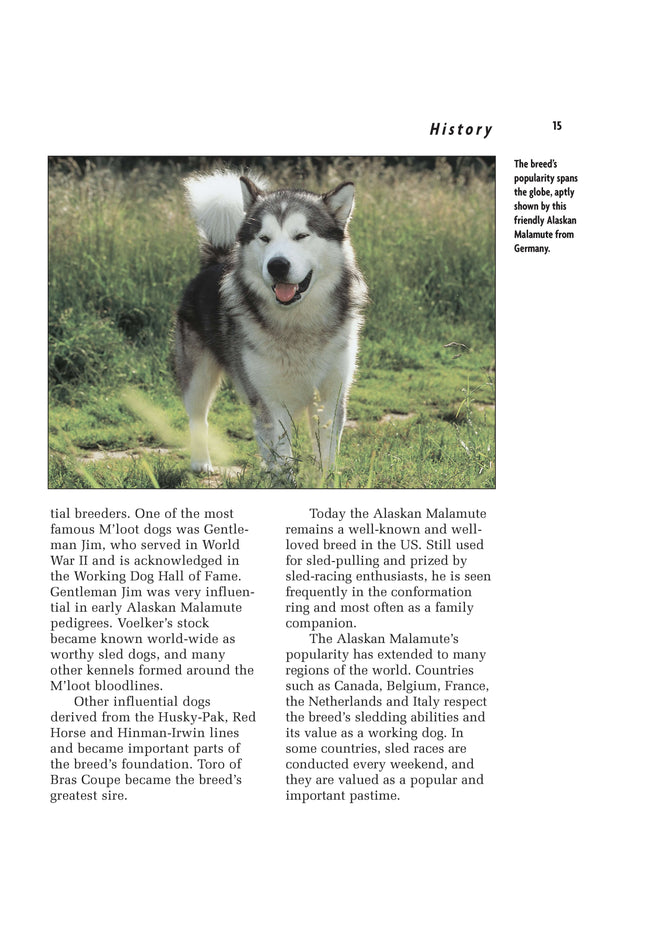 Alaskan Malamute (Comprehensive Owner's Guide)