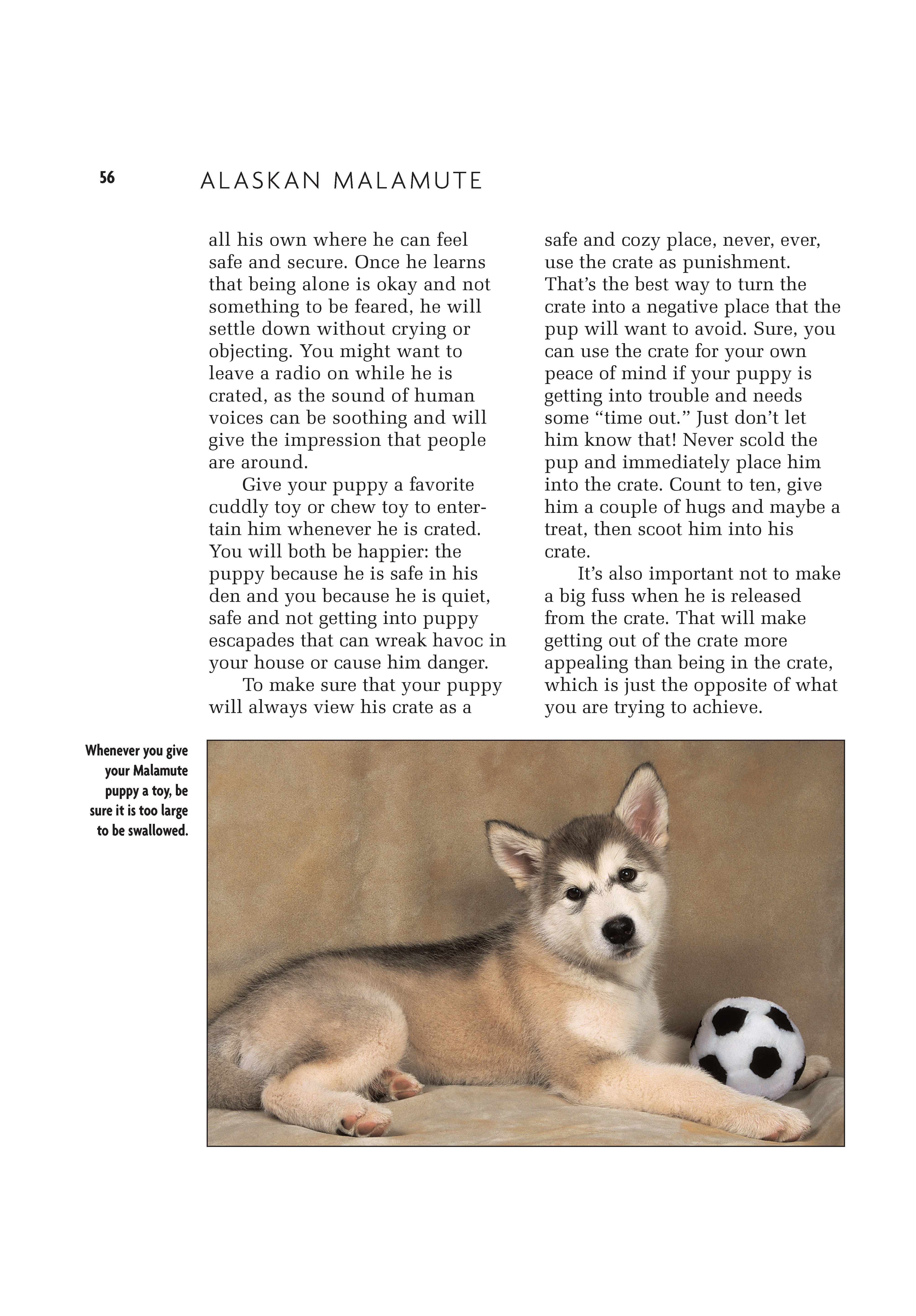 Alaskan Malamute (Comprehensive Owner's Guide)