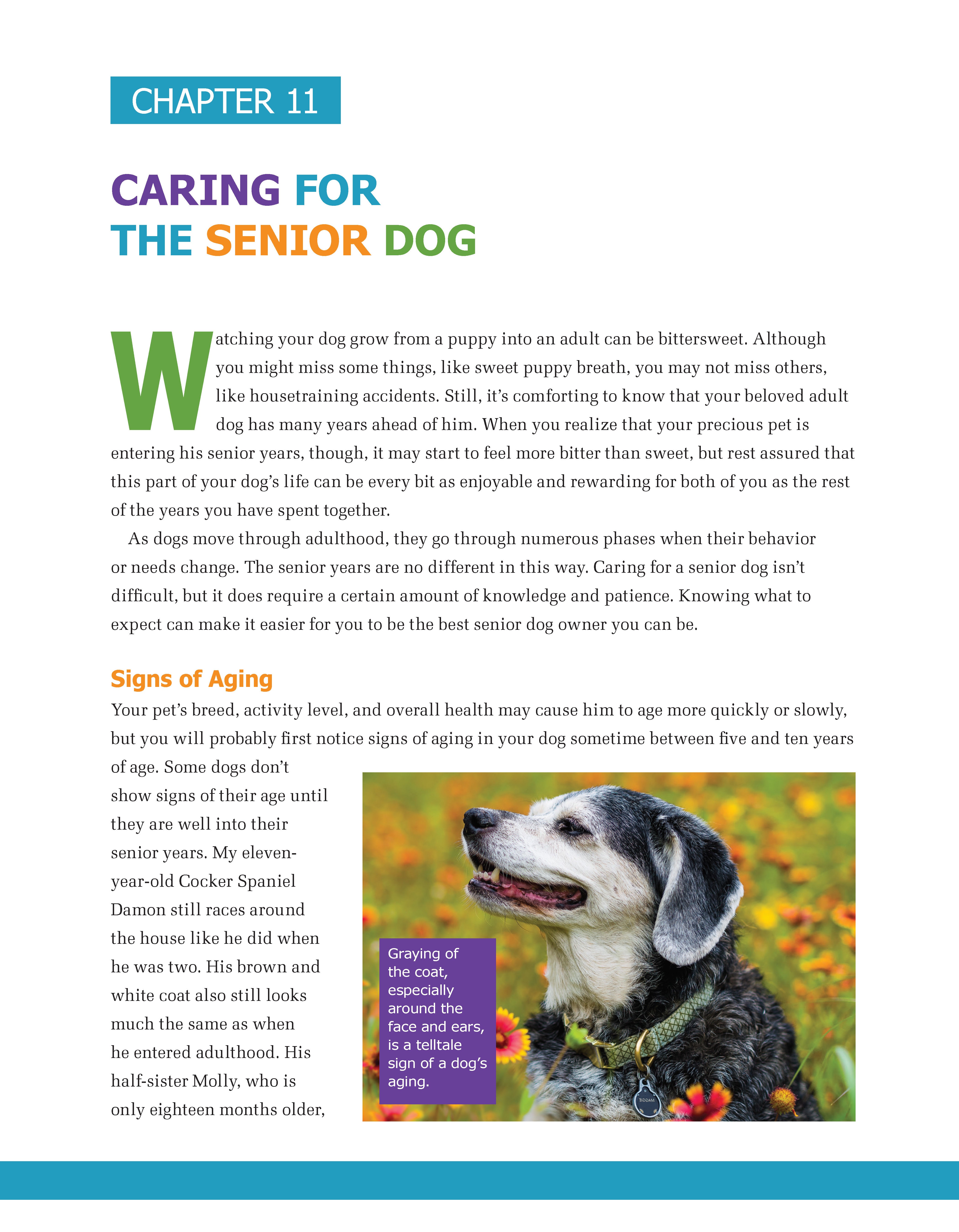 The Ultimate Guide to Dog Care