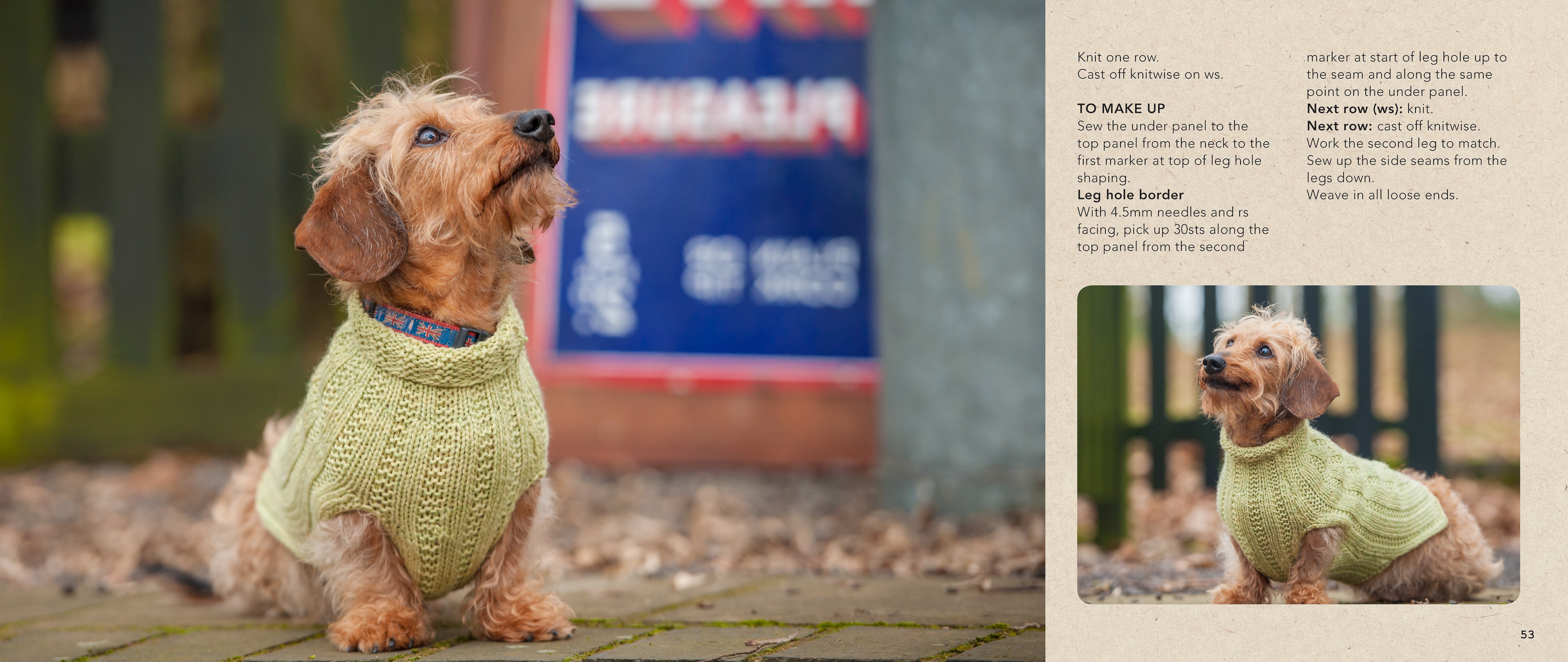 Sweaters for Dogs