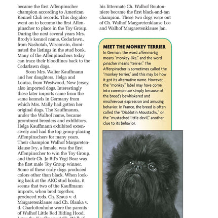 Affenpinscher (Comprehensive Owner's Guide)