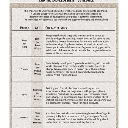 Affenpinscher (Comprehensive Owner's Guide)