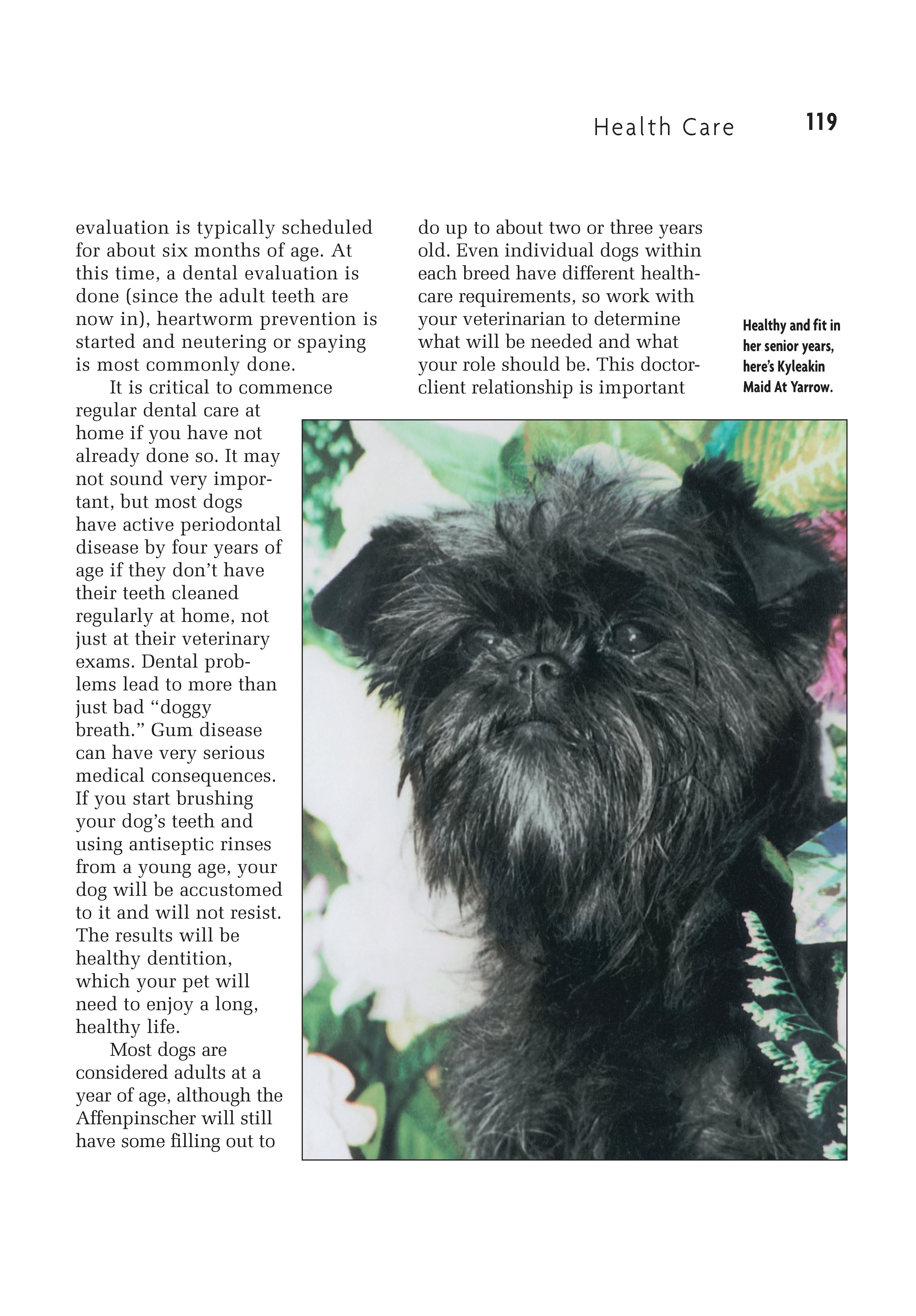 Affenpinscher (Comprehensive Owner's Guide)