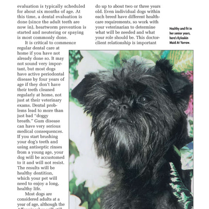 Affenpinscher (Comprehensive Owner's Guide)