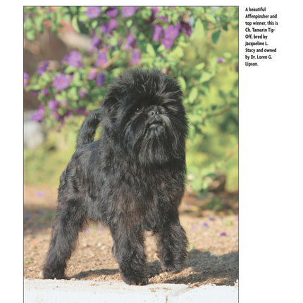 Affenpinscher (Comprehensive Owner's Guide)