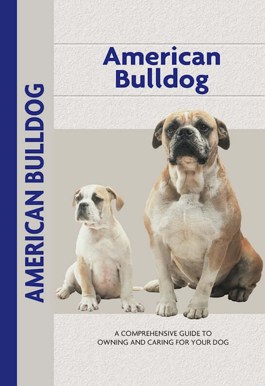 American Bulldog (Comprehensive Owner's Guide)