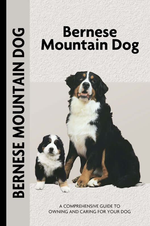 Bernese Mountain Dog (Comprehensive Owner's Guide)