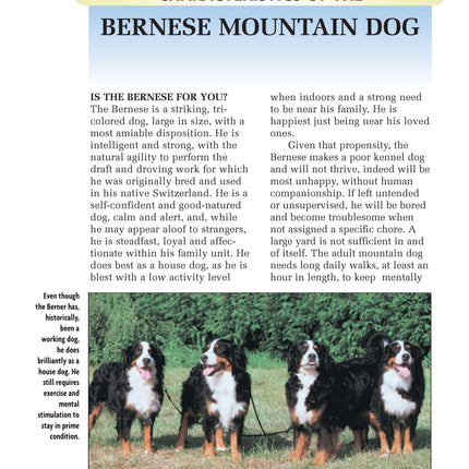 Bernese Mountain Dog (Comprehensive Owner's Guide)