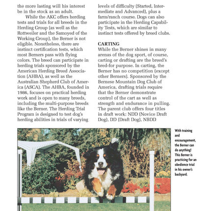 Bernese Mountain Dog (Comprehensive Owner's Guide)