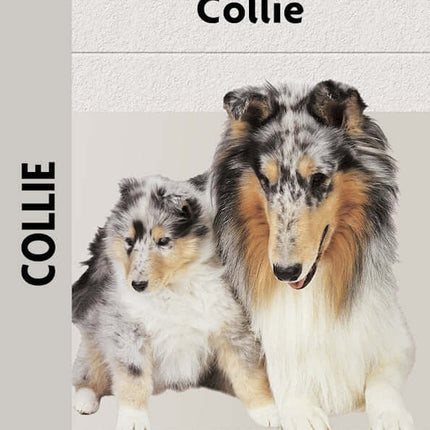 Collie (Comprehensive Owner's Guide)