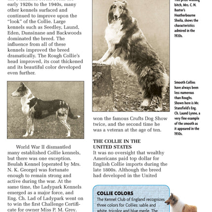 Collie (Comprehensive Owner's Guide)