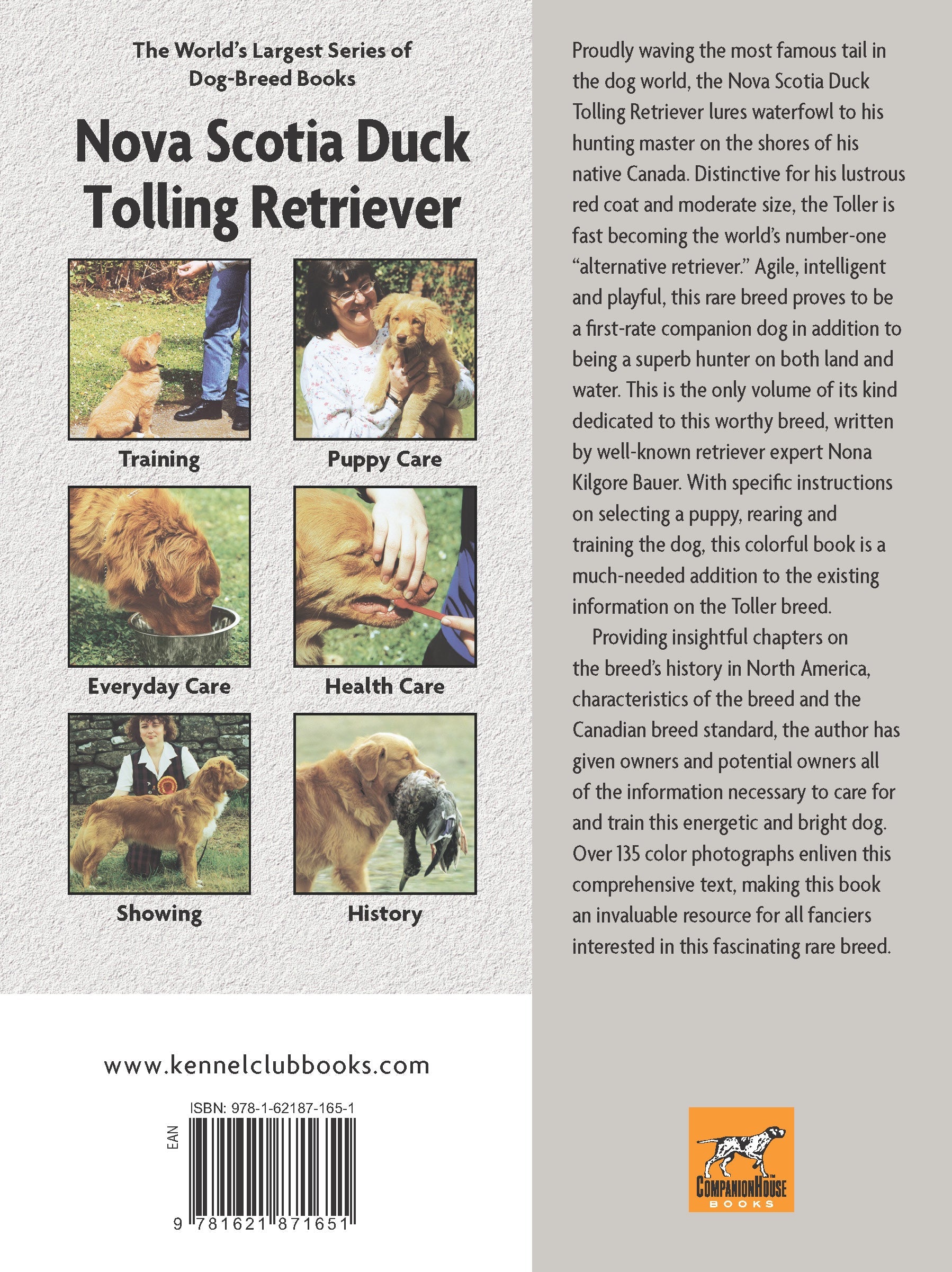 Nova Scotia Duck Tolling Retriever (Comprehensive Owner's Guide)