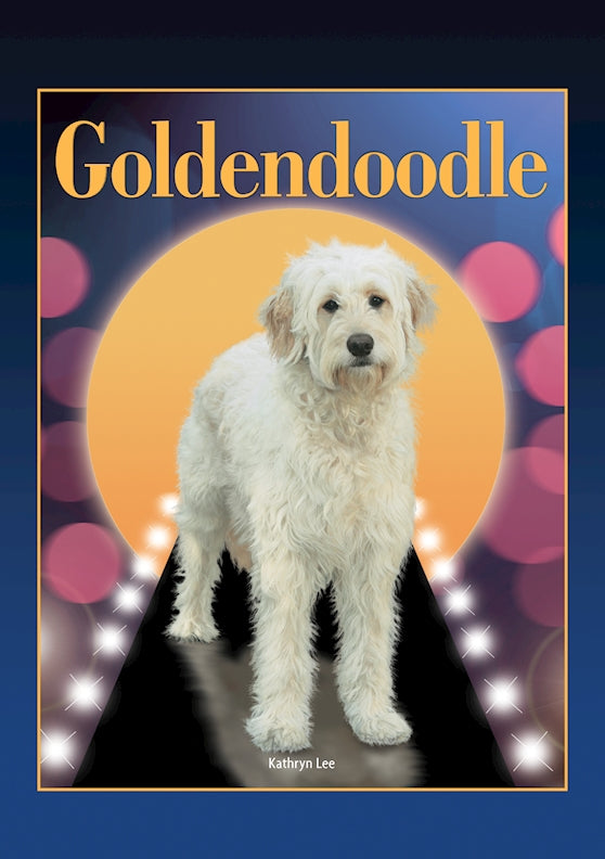 Goldendoodle (Designer Dog Series)