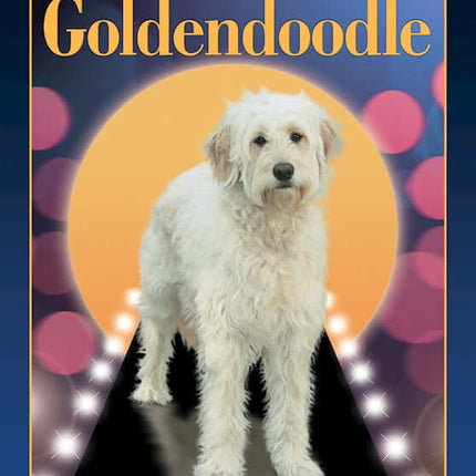 Goldendoodle (Designer Dog Series)