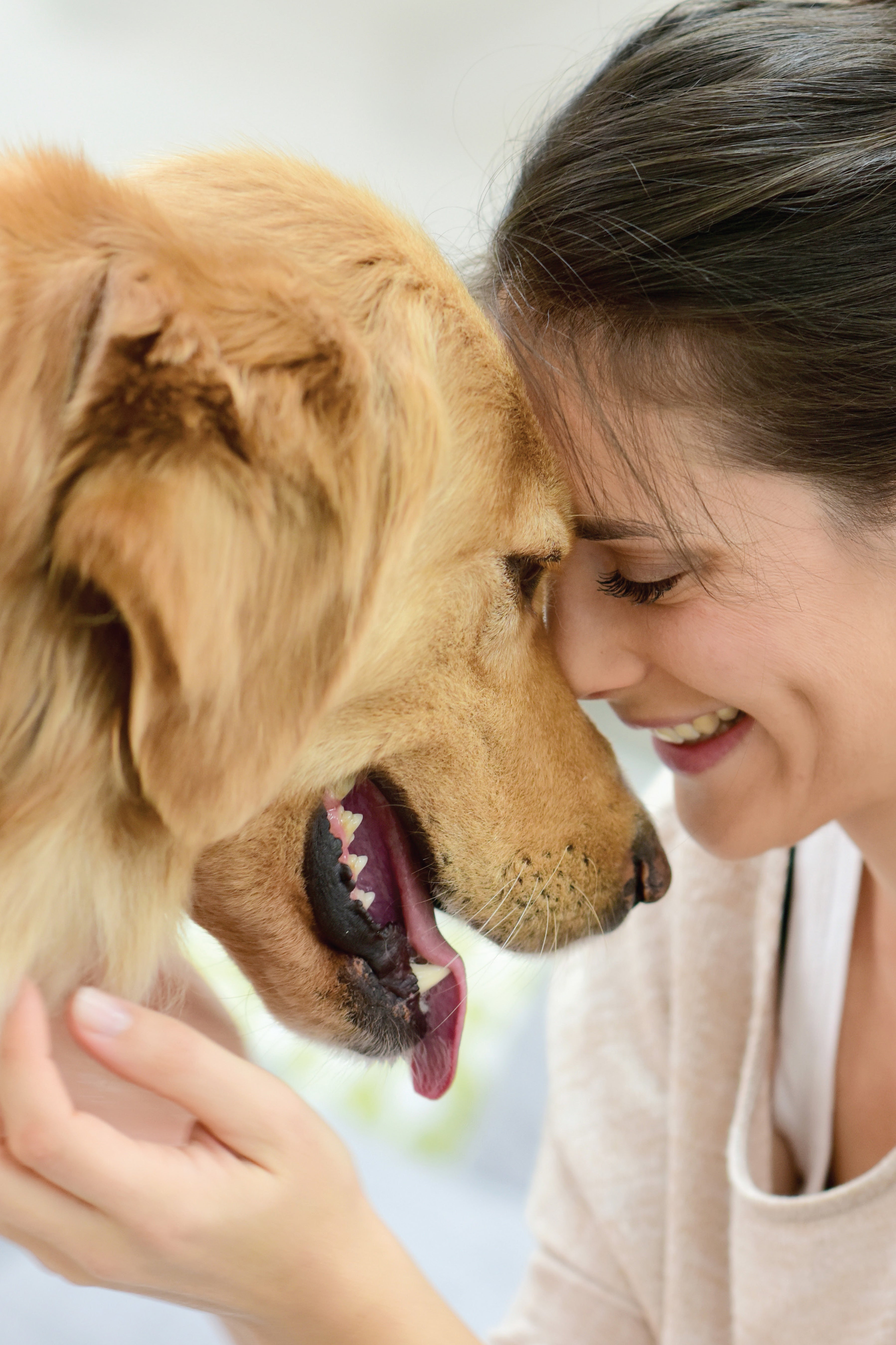 The Dog's Guide to Your Happiness