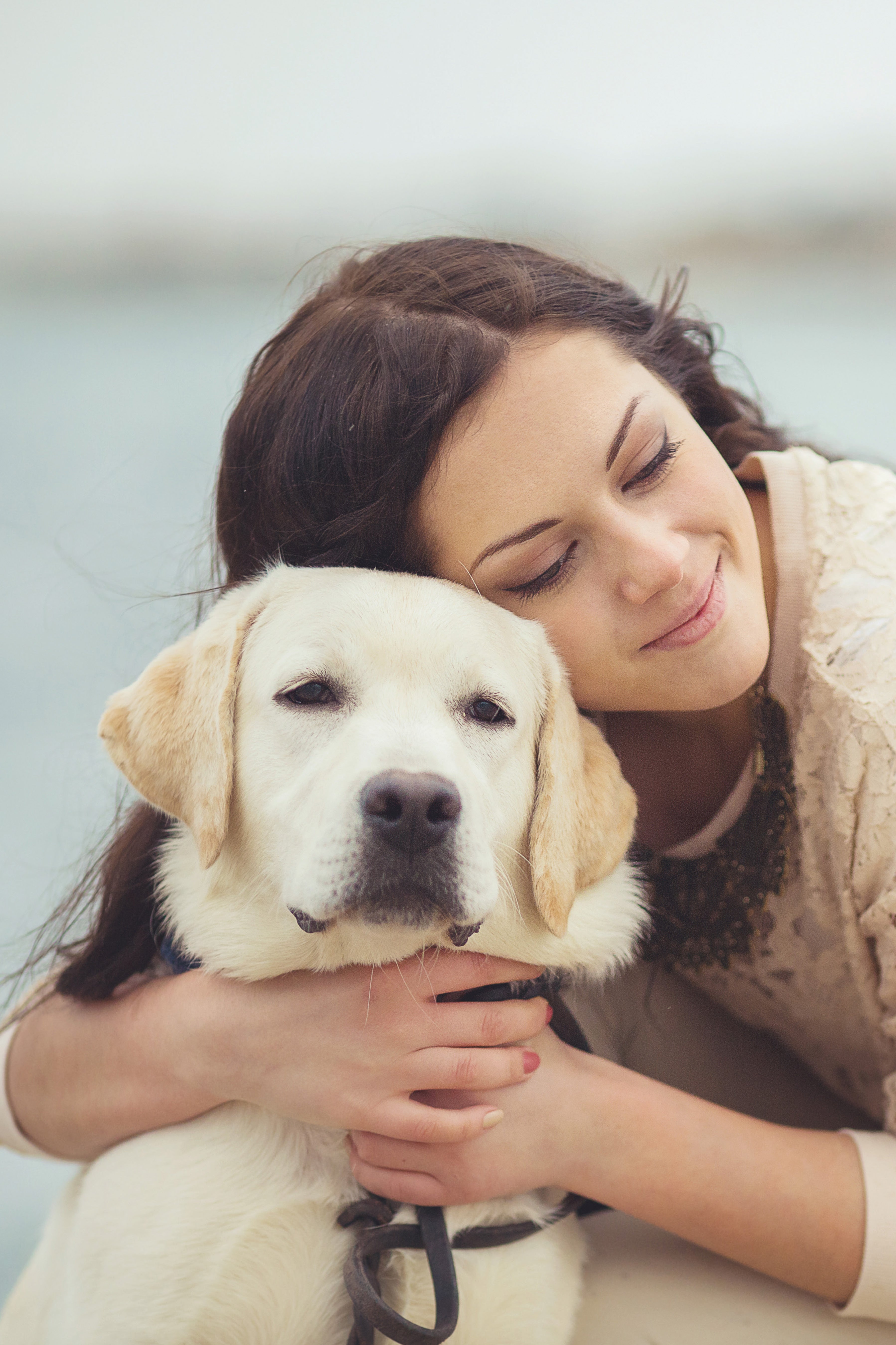 The Dog's Guide to Your Happiness