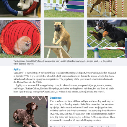 The New Complete Dog Book