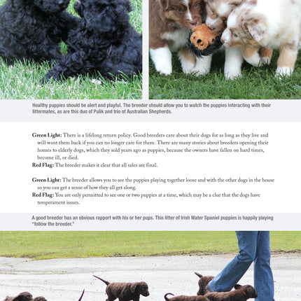 The New Complete Dog Book