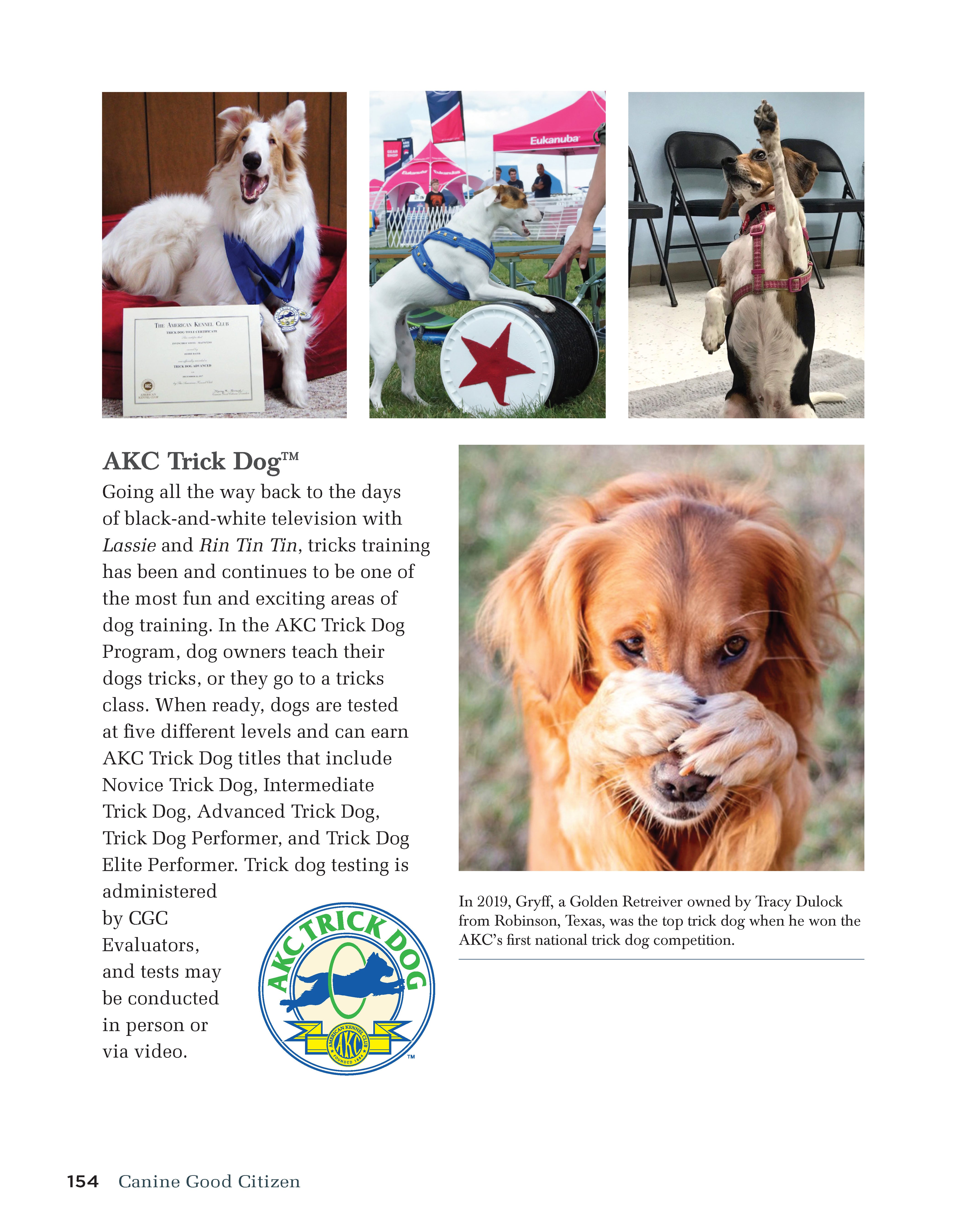 Canine Good Citizen - The Official AKC Guide