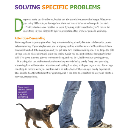 Ultimate Guide to Dog Training