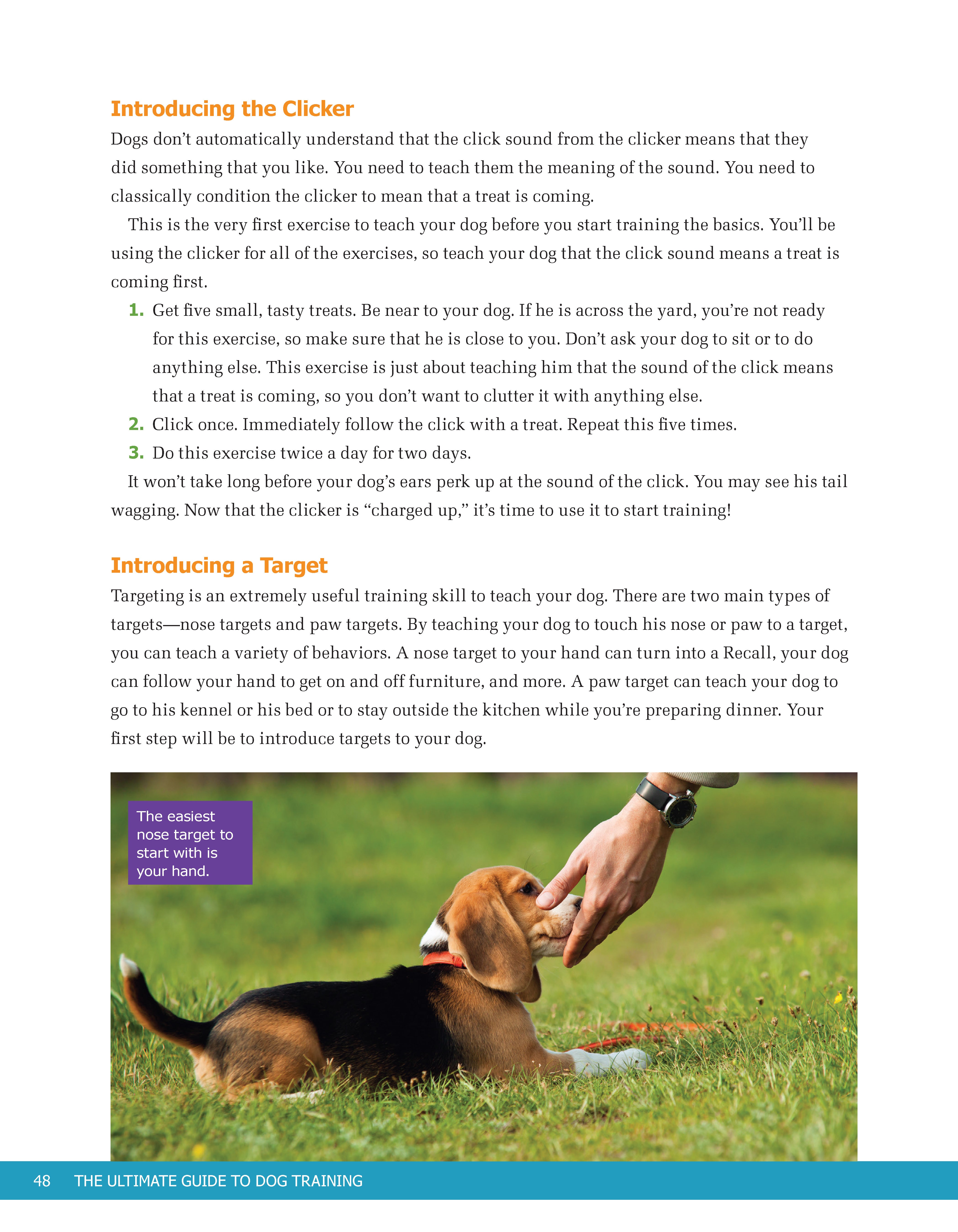 Ultimate Guide to Dog Training