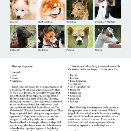 New Complete Dog Book, The, 23rd Edition