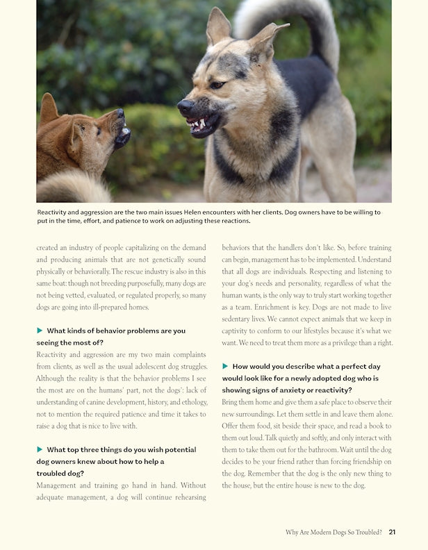 Positive Training for Aggressive and Reactive Dogs