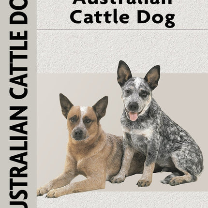 Australian Cattle Dog