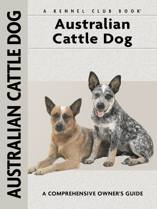 Australian Cattle Dog