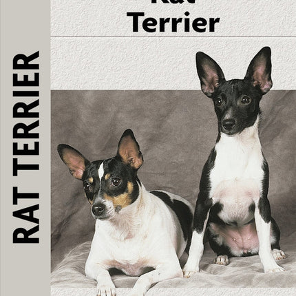 Rat Terrier (PB)