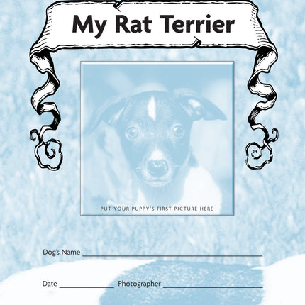 Rat Terrier (PB)