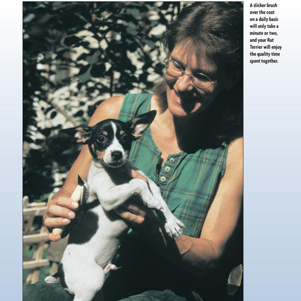 Rat Terrier (PB)