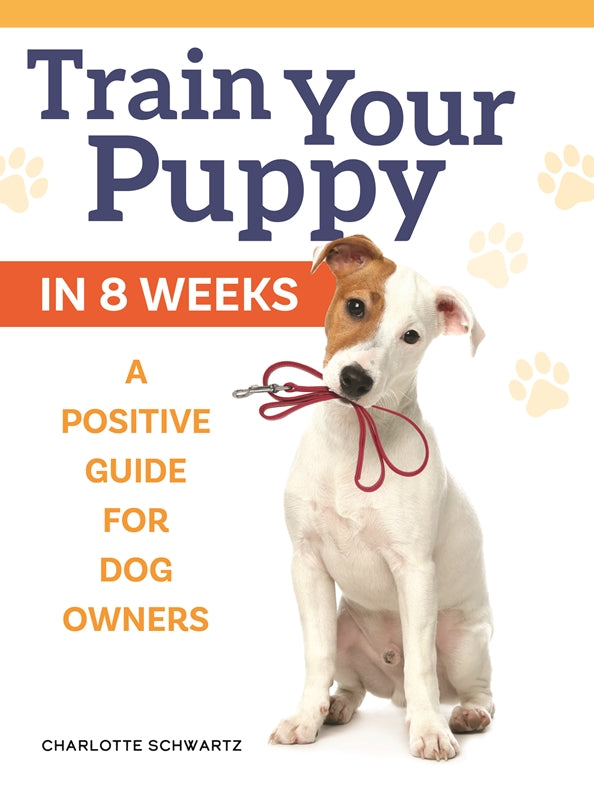 Train Your Puppy in 8 Weeks