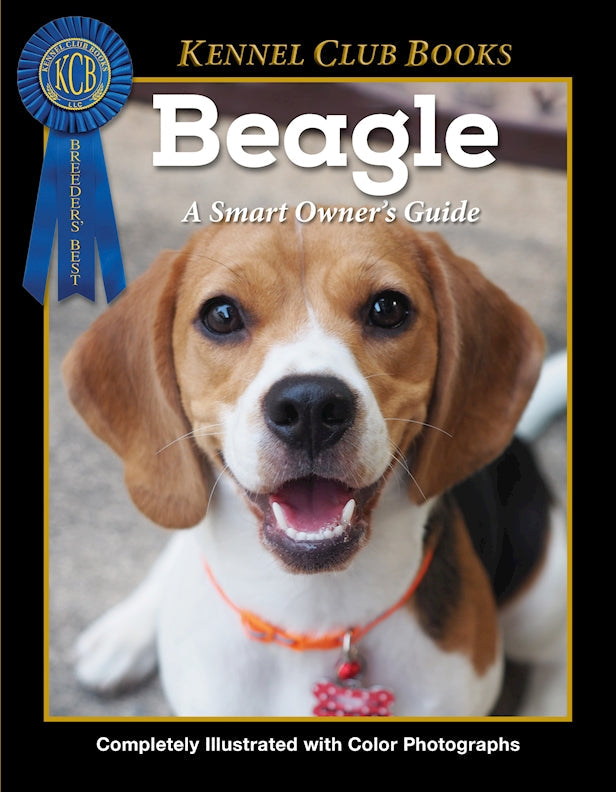 Beagle