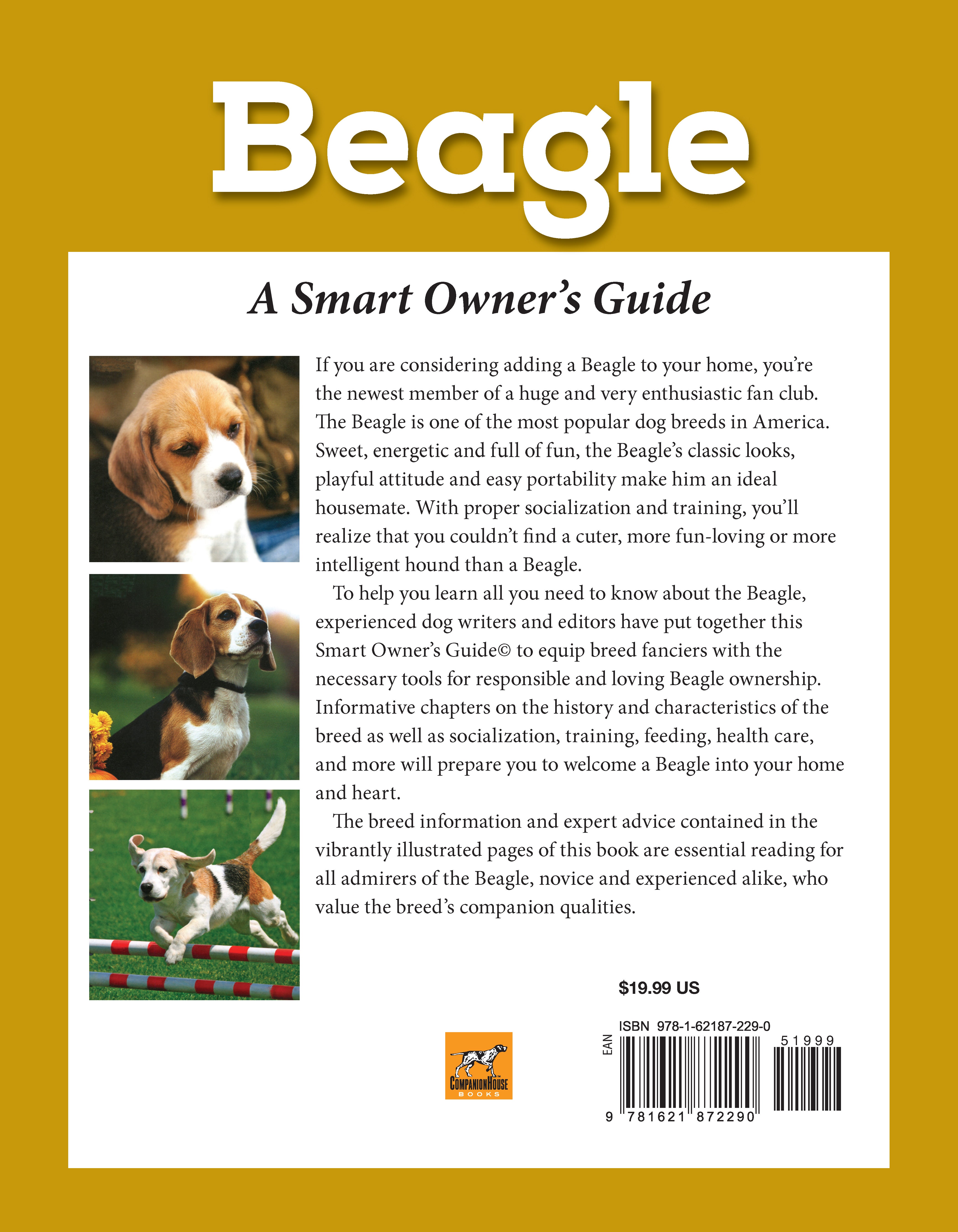 Beagle