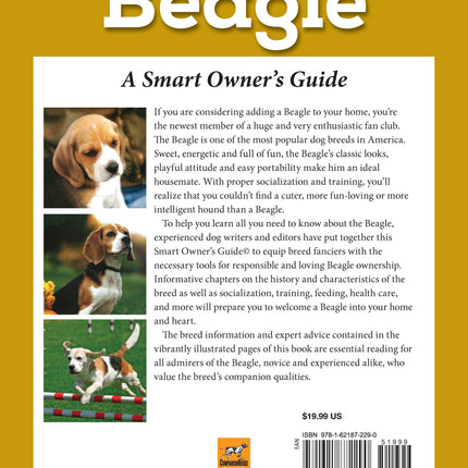 Beagle