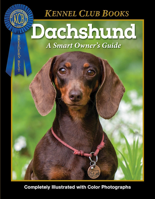 Dachshund