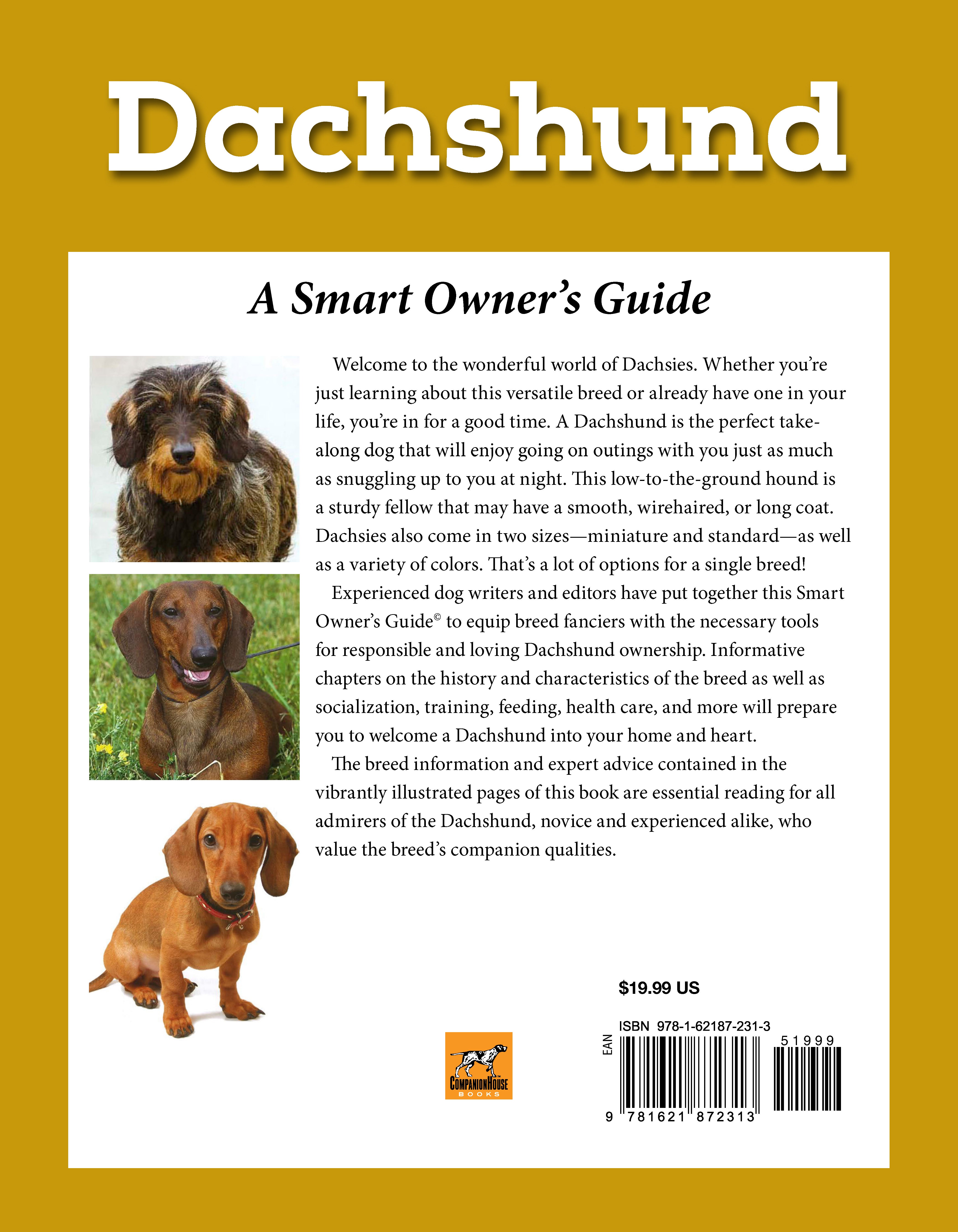 Dachshund